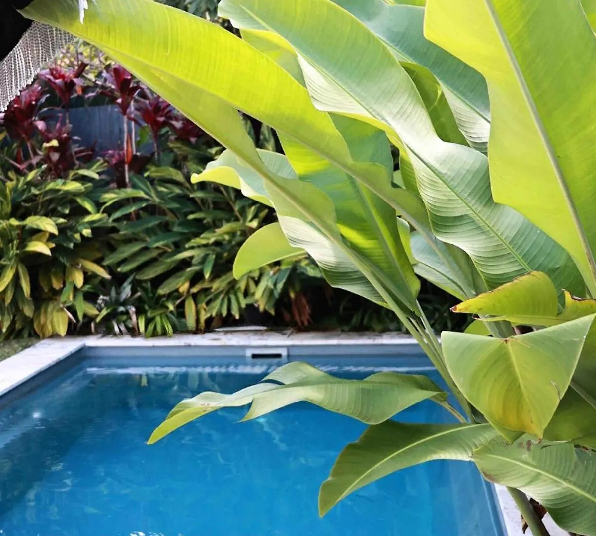 Holiday home Byron Bay Beach House Australia